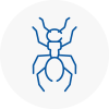 Ant Removals In Bebington