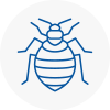 Bed Bug Extermination In Bebington