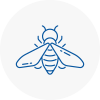 Bee Nest Removal Bebington