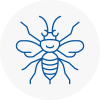 Bebington Hornet Nest Removals