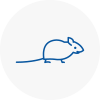 Mice Exterminators In Bebington
