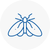 Moth Control Specialists In Bebington