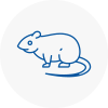 Rat Control Bebington