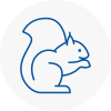 Bebington Rodent Removals