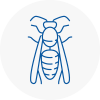 Bebington Wasp Nest Removal